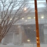 窓から見える雪