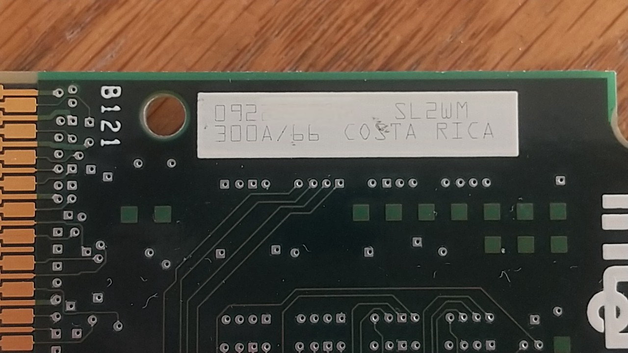 サイドに印字されたCOSTA RICAの文字